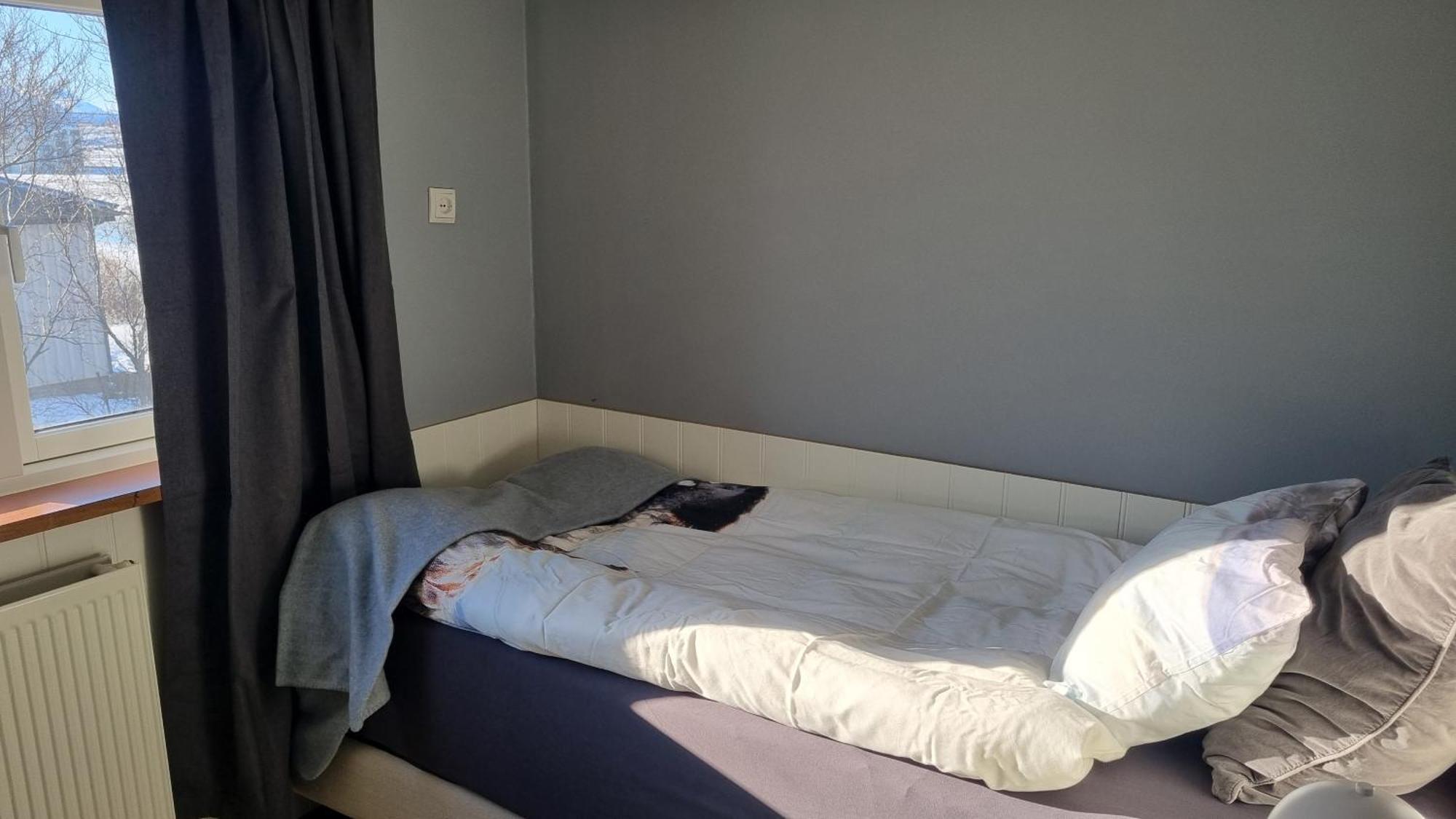 Fornilaekur Guesthouse Blonduos Kültér fotó